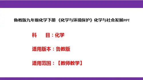 鲁教版九年级化学下册《化学与环境保护》化学与社会发展PPT