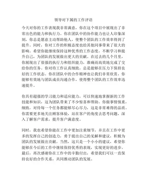 领导对下属的工作评语