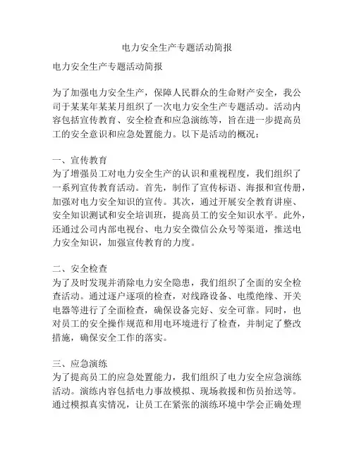 电力安全生产专题活动简报
