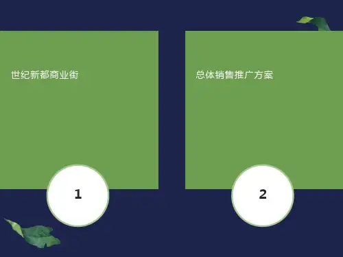 商业街总体推广方案