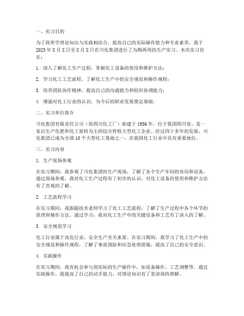 西北大学川化实习报告