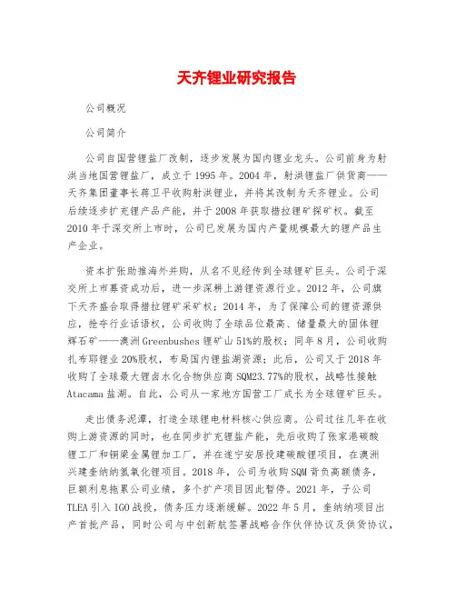 天齐锂业研究报告
