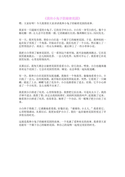 《我和小兔子的秘密花园》