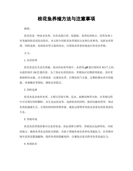 桂花鱼养殖方法与注意事项