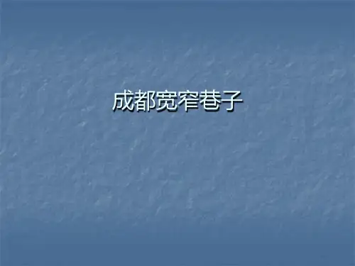 成都宽窄巷子 案例分析