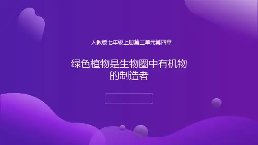 绿色植物是生物圈中有机物的制造者课件人教版生物七年级上册(1(完整版)22