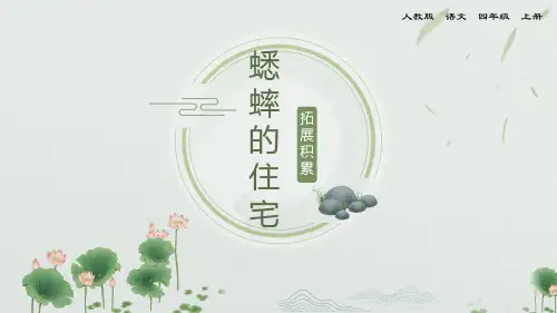 四年级语文上册蟋蟀的住宅拓展积累课件课件