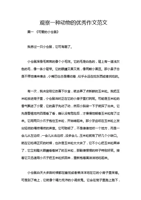 观察一种动物的优秀作文范文