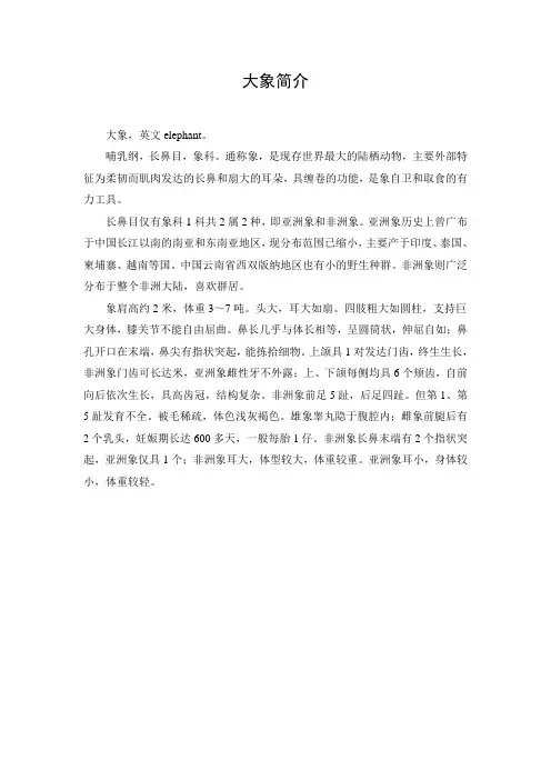 文档：大象简介