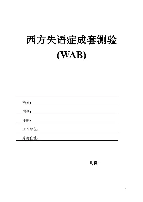 WAB测试及报告 -修改版  - 精简版