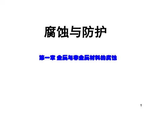 金属与非金属材料的腐蚀PPT课件