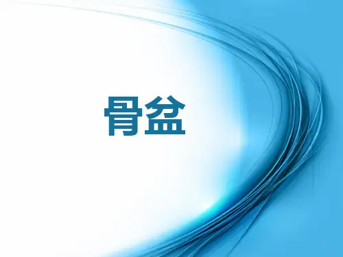 骨盆PPT精选课件