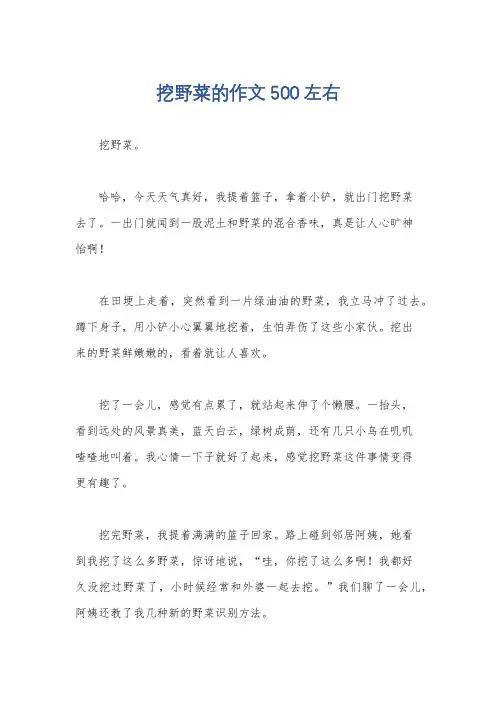 挖野菜的作文500左右
