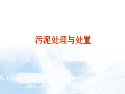 污泥处理与处置