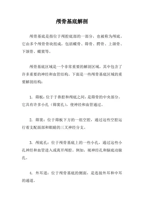 颅骨基底解剖