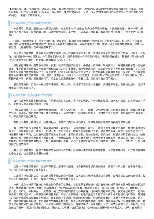 六年级养猫让生活更美好作文600字