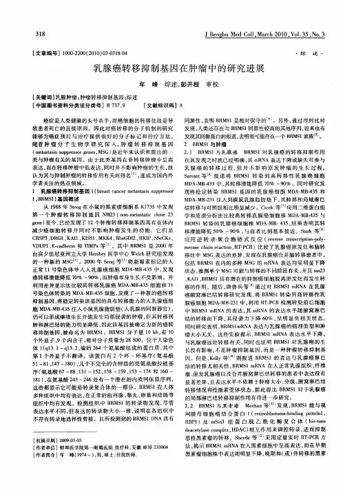 乳腺癌转移抑制基因在肿瘤中的研究进展