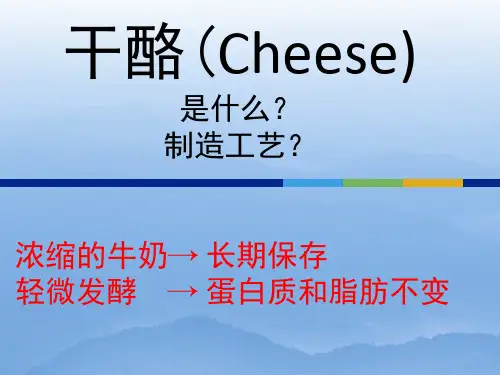 干酪制造技术和微生物