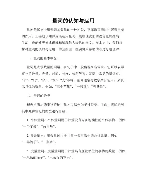 量词的认知与运用