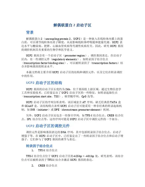 解偶联蛋白2启动子区