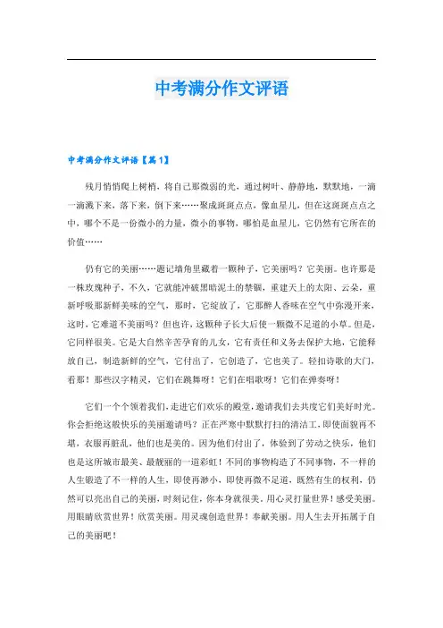 中考满分作文评语
