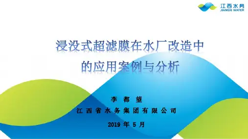 浸没式超滤膜在水厂改造中的应用案例与分析