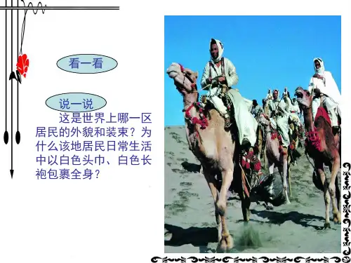 湘教版八年级地理西亚课件