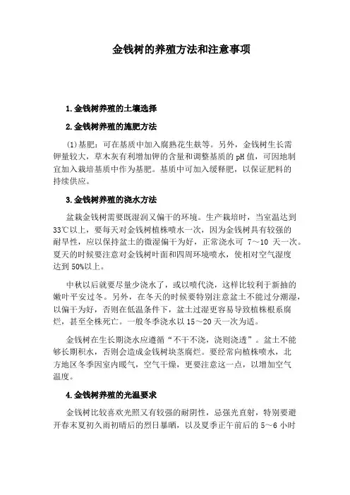 金钱树的养殖方法和注意事项