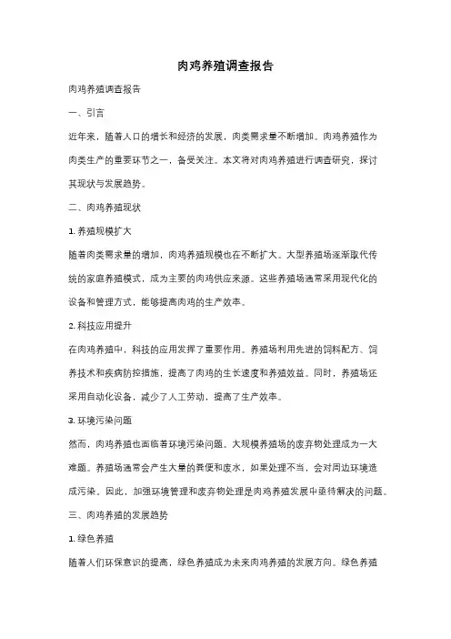 肉鸡养殖调查报告