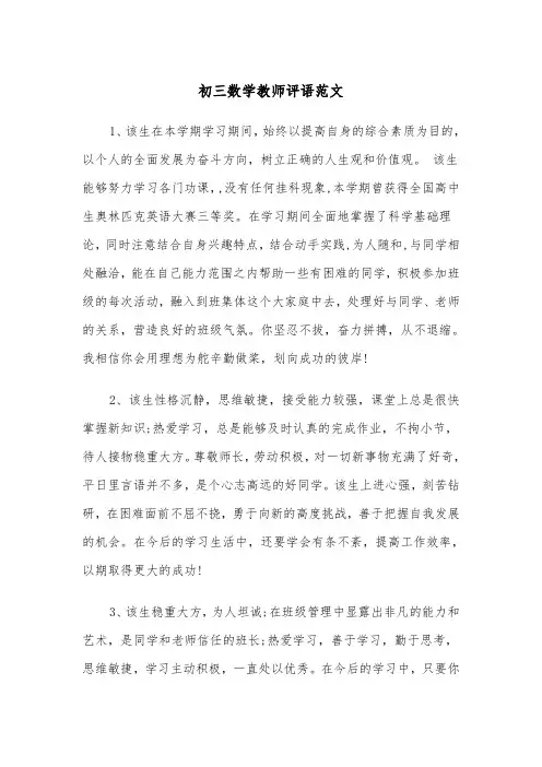 初三数学教师评语范文（2篇）