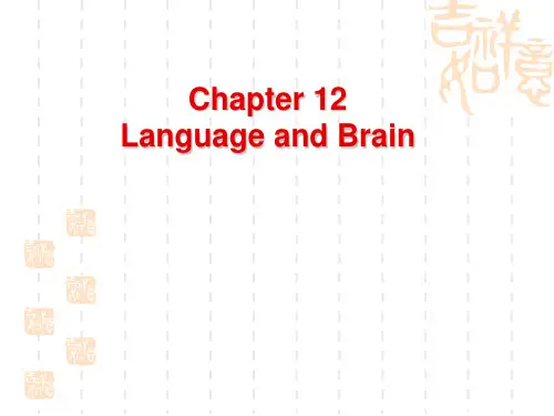 英语语言学 第十二章 language and brain