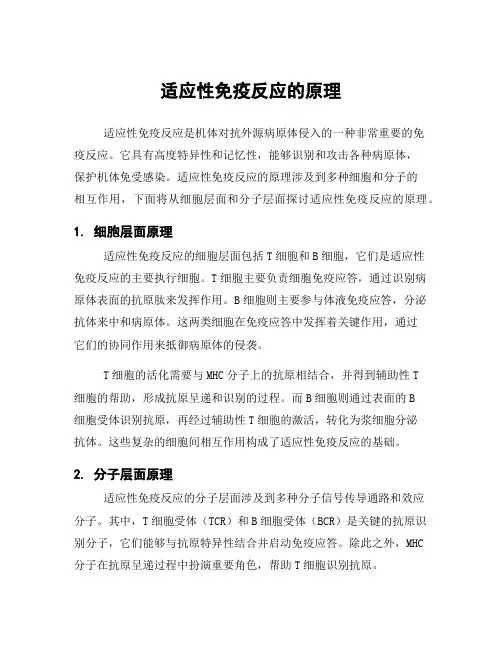 适应性免疫反应的原理