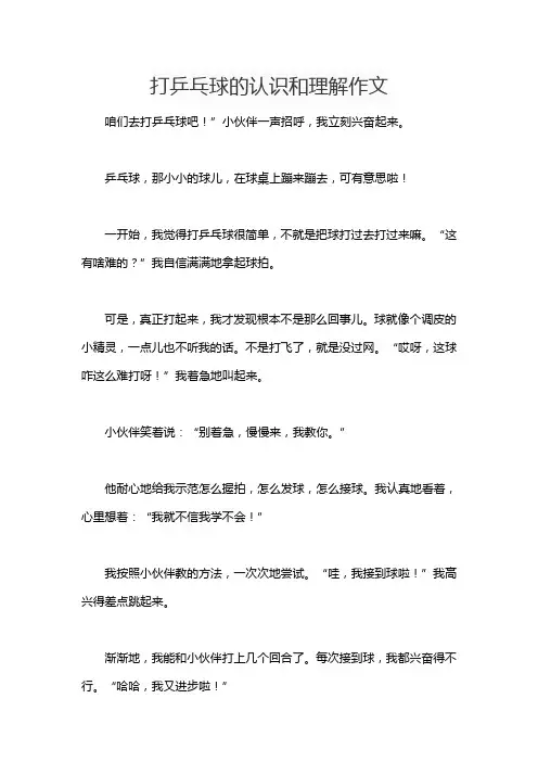 打乒乓球的认识和理解作文