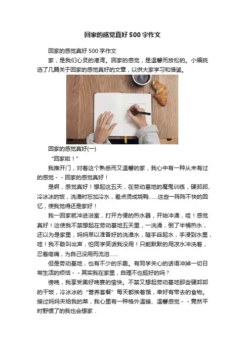 回家的感觉真好500字作文