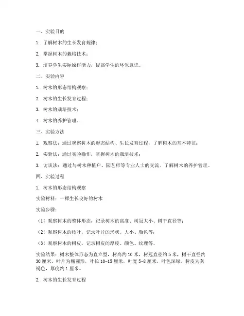 树实验报告