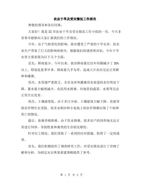 农业干旱及受灾情况工作报告