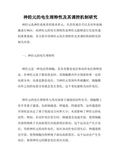 神经元的电生理特性及其调控机制研究