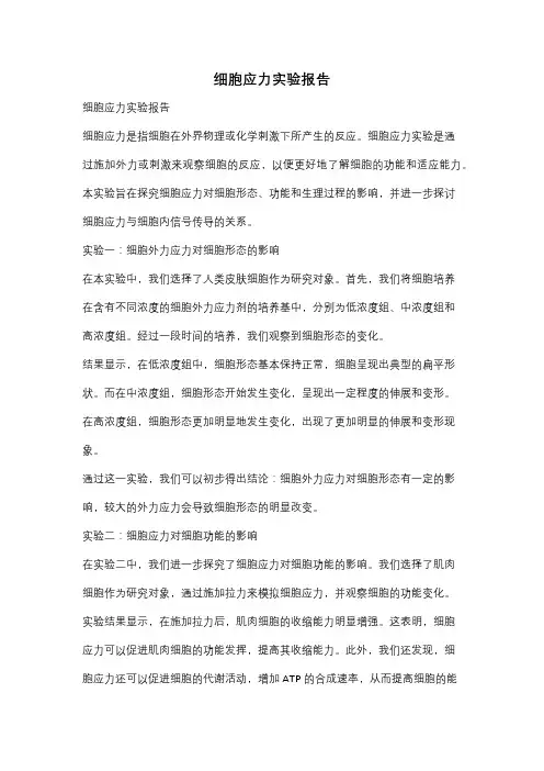 细胞应力实验报告