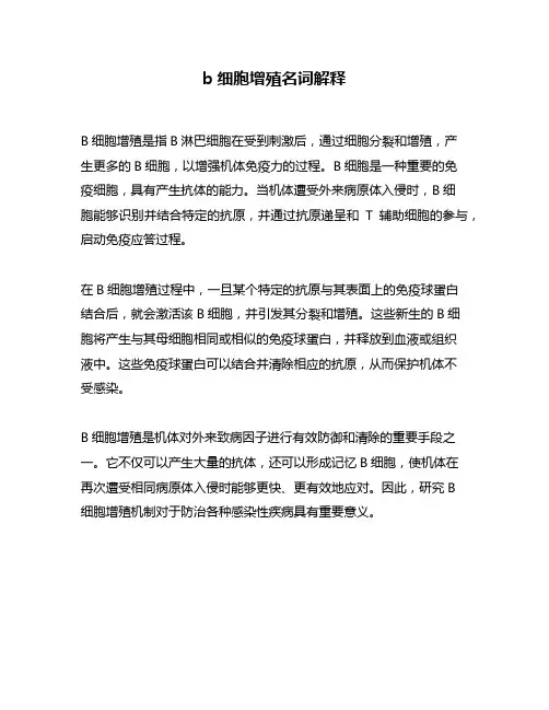 b细胞增殖名词解释