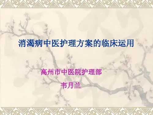 2013年消渴病中医护理方案的临床运用