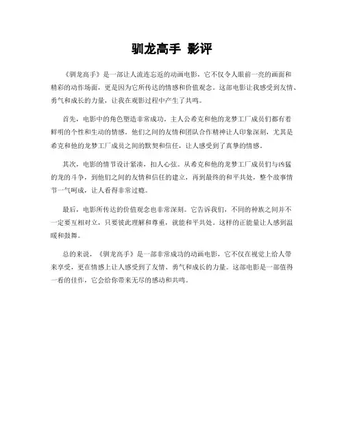 驯龙高手 影评