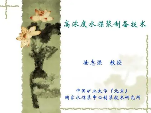 水煤浆技术讲座