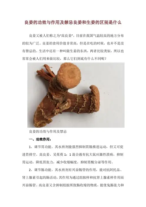良姜的功效与作用及禁忌 良姜和生姜的区别是什么