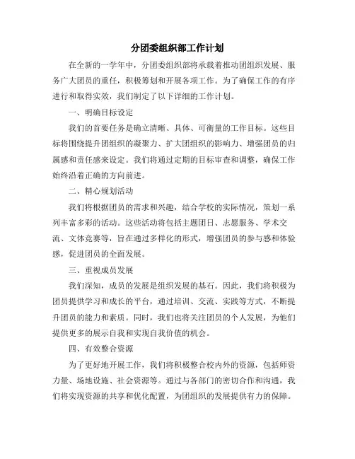 分团委组织部工作计划