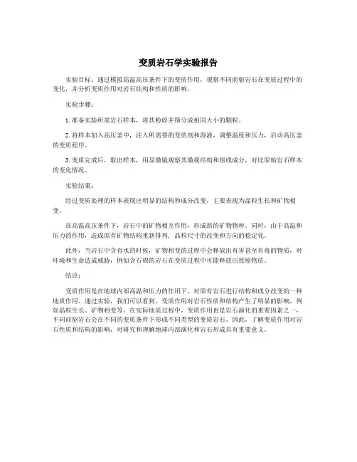 变质岩石学实验报告