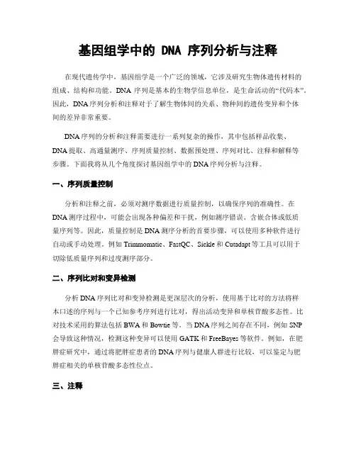 基因组学中的 DNA 序列分析与注释