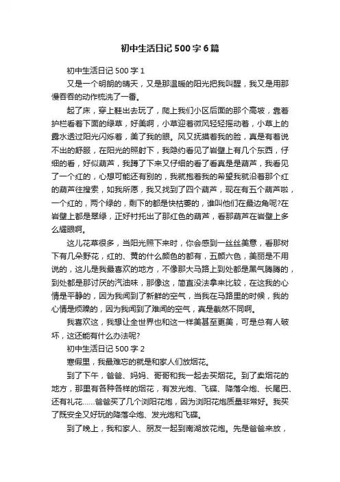 初中生活日记500字6篇