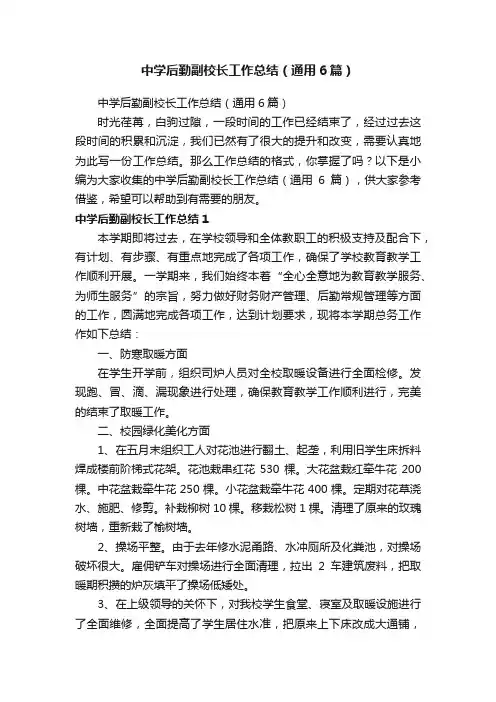 中学后勤副校长工作总结（通用6篇）