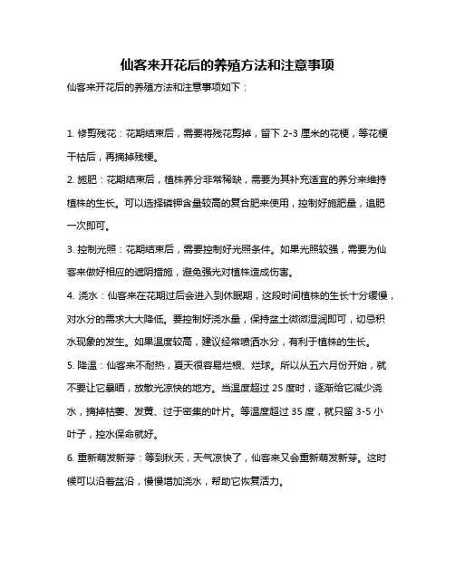 仙客来开花后的养殖方法和注意事项