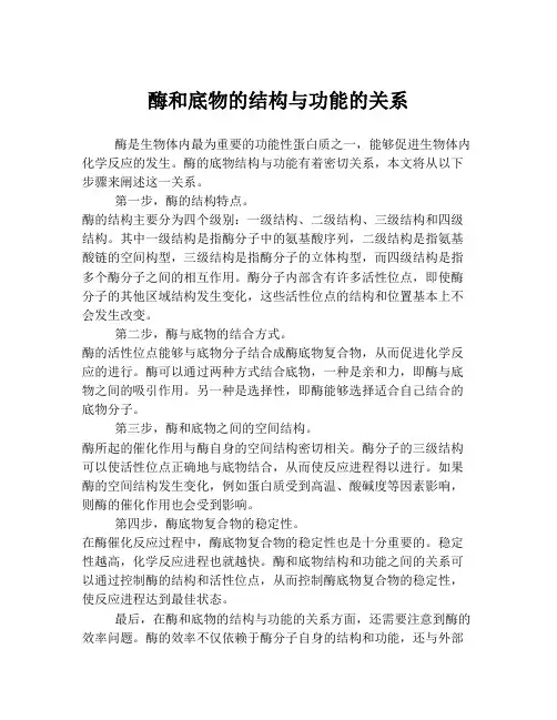 酶和底物的结构与功能的关系